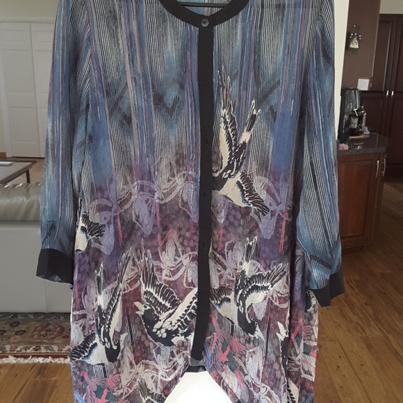 Citron Silk, sheer long sleeve tunic - Picture 1 of 4